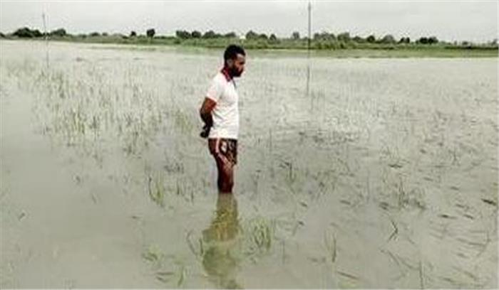 मप्र में फसल बीमा कंपनियों को टोल फ्री नंबर जारी करने के निर्देश