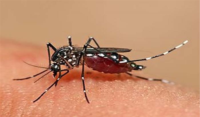 मध्यप्रदेश : अब तक मिले 26 डेंगू के मरीज