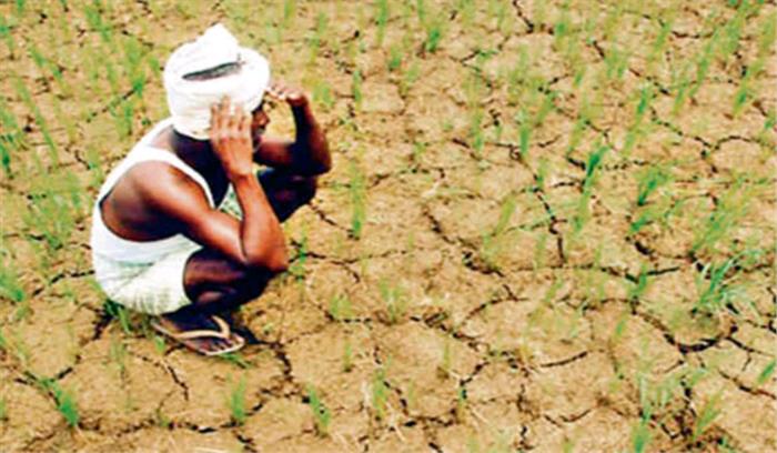 मध्यप्रदेश : आधे हिस्से पर सूखे के संकट के आसार