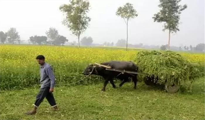 मप्र में सिंचाई रकबा 6 लाख हेक्टेयर बढ़ाने का लक्ष्य