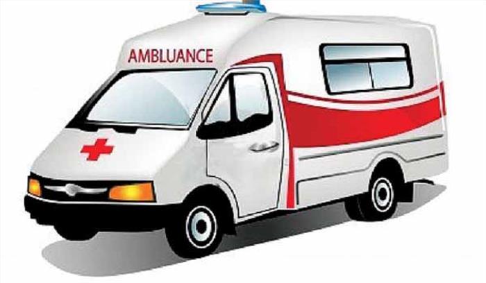   मध्यप्रदेश: एम्बुलेंस की टक्कर से काले हिरण की मौत