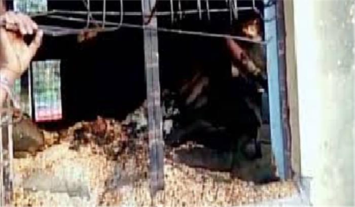 मध्य प्रदेश : छिंदवाड़ा में राशन बांटते वक्त केरोसिन में लगी ,15 की मौत 