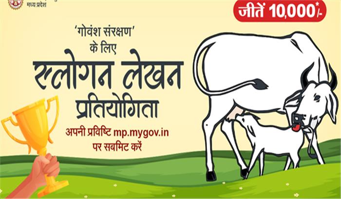 मप्र: गायों की मौत पर भूसे की जांच का आदेश