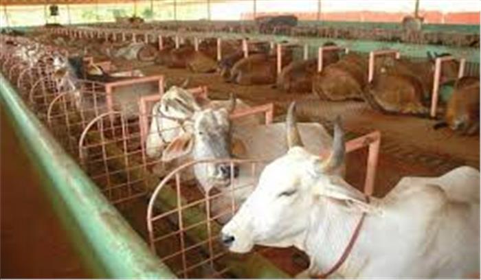 मध्य प्रदेश में गौ-शाला परियोजना में आईआईटी मदद देने को तैयार