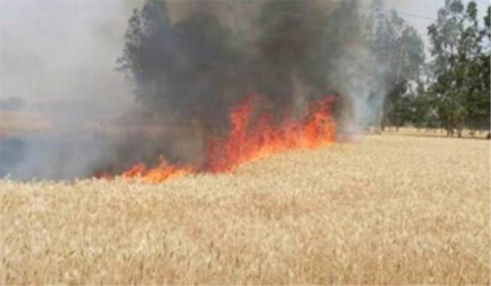 किसान के खलिहान में लगी आग, फसल जलकर खाक