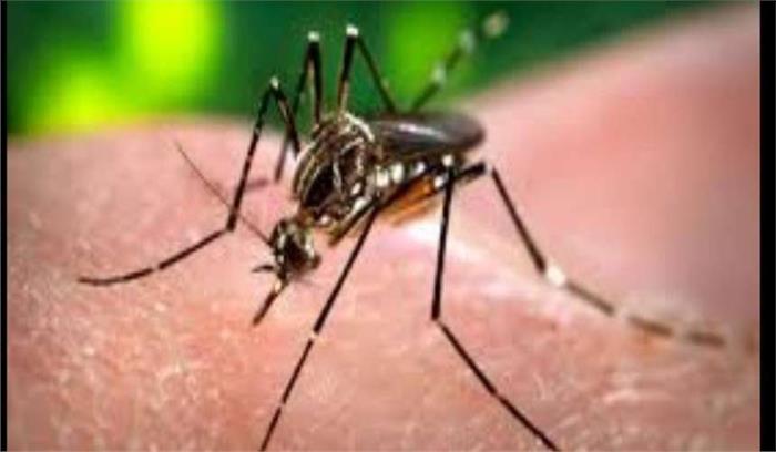 मध्यप्रदेश :डेंगू से एक युवक की मौत