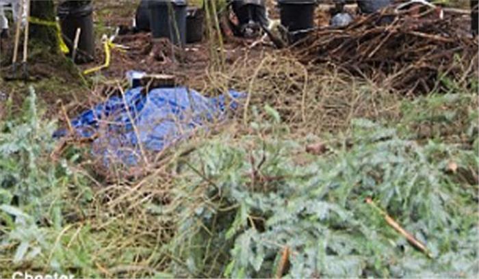 मप्र: लापता युवक का शव जंगल से बरामद मप्र: लापता युवक का शव जंगल से बरामद