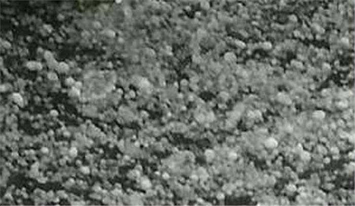 रायसेन के बेगमगंज में बारिश के साथ गिरे ओले