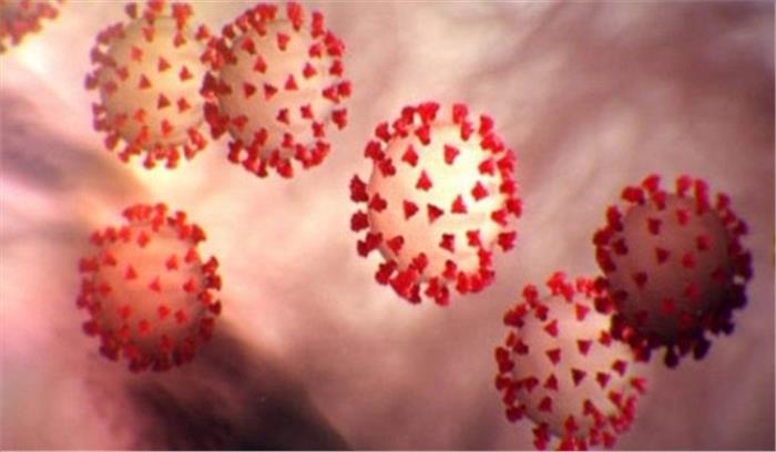 मप्र में 294 नए मरीज, अब तक 290 मौतें