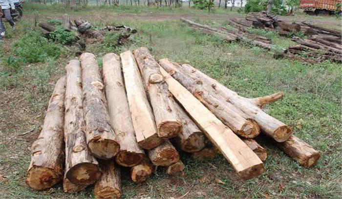 सिवनी जिले में अवैध सागौन जब्त, एक गिरफ्तार