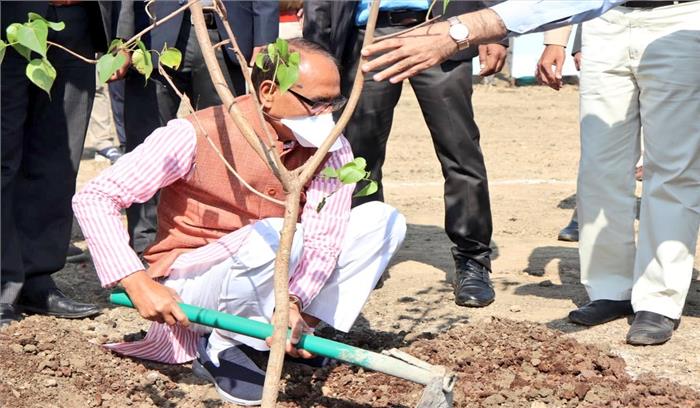 शिवराज सिंह चौहान ने लगाया पीपल का पौधा