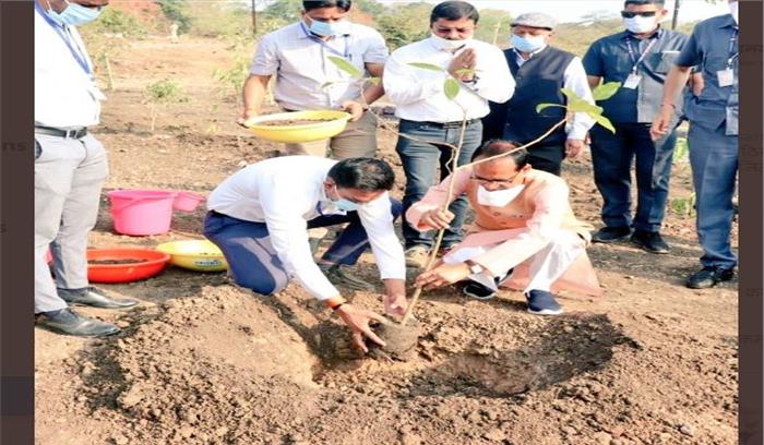 शिवराज सिंह चौहान ने स्मार्ट पार्क में गूलर का पौधा लगाया