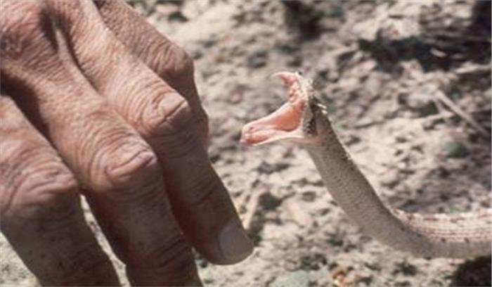 शिवपुरी में दो बच्चों की सांप के काटने से मौत