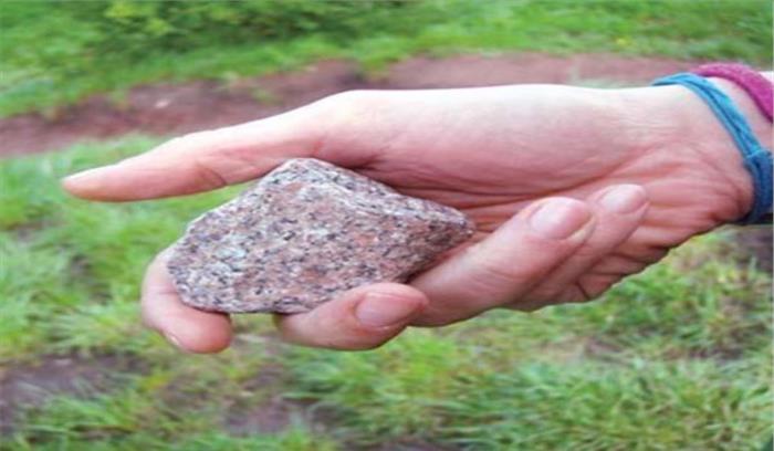 मध्यप्रदेश: महिला की पत्थर मारकर निर्मम हत्या