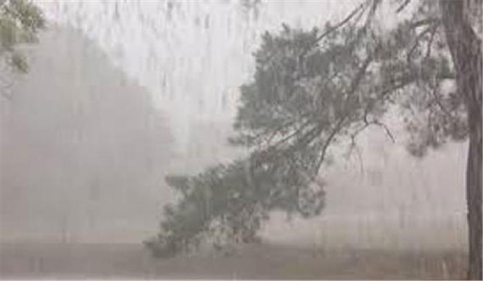 टीकमगढ़: आंधी-बारिश से दर्जनों पेड़ गिरे