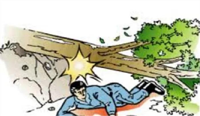 महाराष्ट्र में स्कूल परिसर में पेड़ गिरने से 20 छात्र घायल