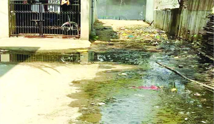 महात्मा गांधी वार्ड में गंदगी का आलम