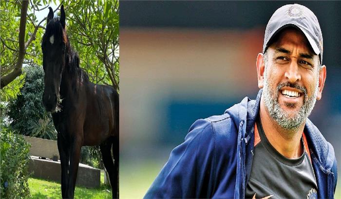 मिलिए महेंद्र सिंह धोनी के चेतक से...