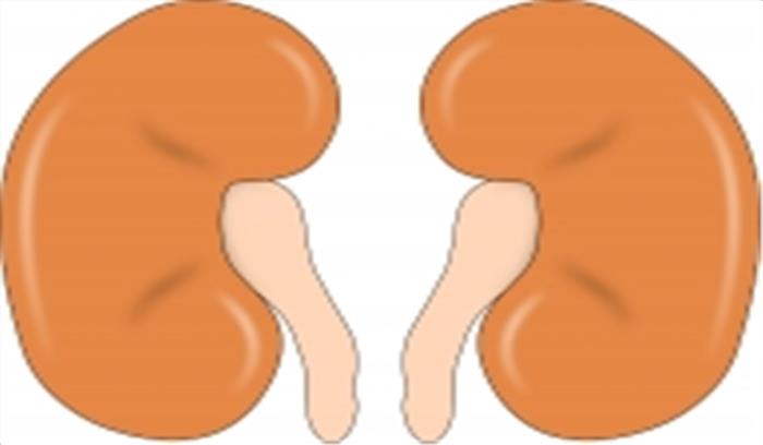 कोरोनावायरस को हराने वाले केरल के 85 वर्षीय का गुर्दे की बीमारी से निधन