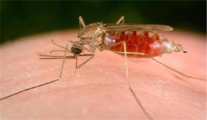 मलेरिया प्रभावित गांव में फिर एक मासूम की मौत