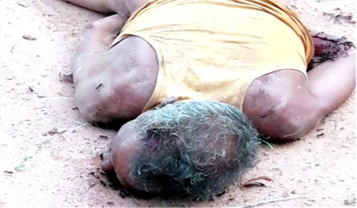 आम बीनने जंगल गए वृद्ध को दंतैल ने कुचला,मौत