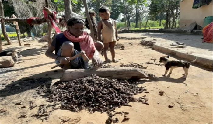 बाजार की शक्तियां आदिवासियों को वन उत्पाद बेचने से रोक सकती हैं : मंत्रालय