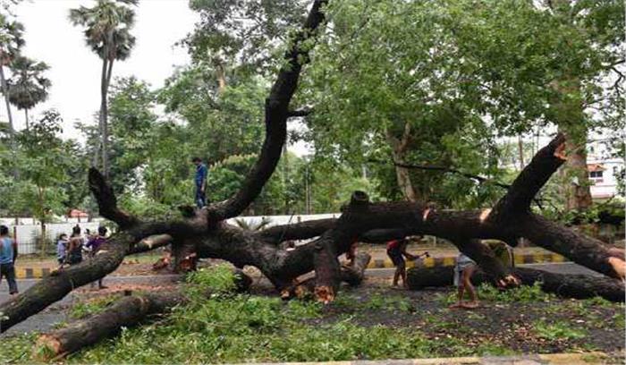 बिहार में आंधी-तूफान से फसलों का व्यापक नुकसान