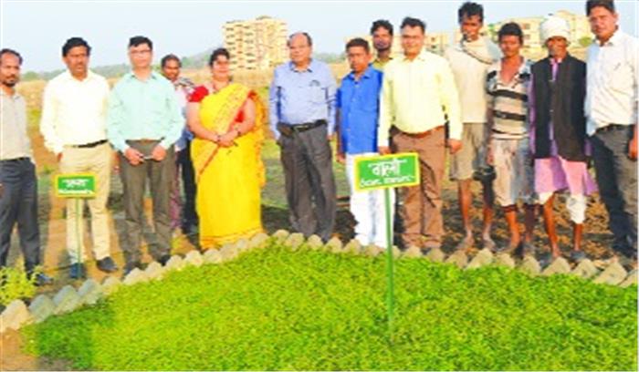 हर्बल गार्डन के माध्यम से औषधीय पौधों की खेती का अनूठा प्रयास