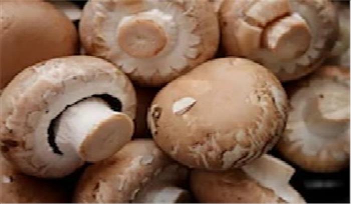 मेघालय में मशरूम खाने से मरने वालों की संख्या बढ़कर पांच