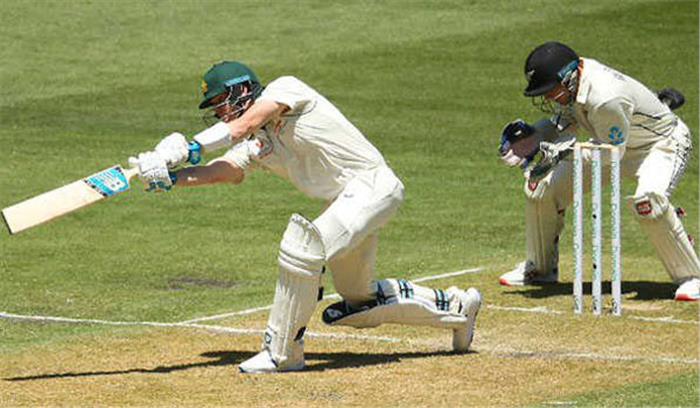 स्मिथ और लाबुशेन ने ठोके अर्धशतक