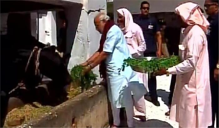 मोदी ने गढ़वा घाट आश्रम में जाकर पूजा-अर्चना और गौसेवा की