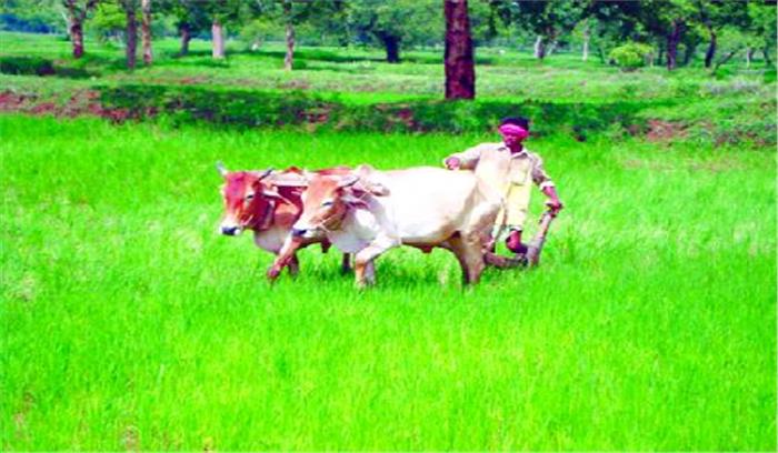 बारिश ने बढ़ाई मुश्किलें, रोपा-बियासी में रुकावट