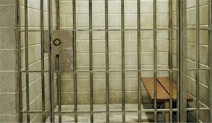 मुरादाबाद:  कुत्ते के हत्यारे को मिली अंतरिम जमानत