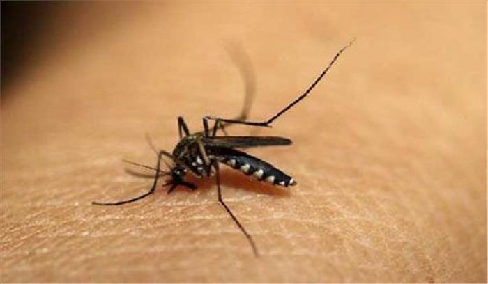 मच्छर जनित बीमारियों के खिलाफ बच्चों ने निकाली रैली