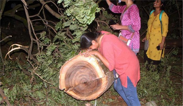 सैकड़ों पेड़ कटाई पर आपत्ति जताकर दीया, फरहान हुए ट्रोल सैकड़ों पेड़ कटाई पर आपत्ति जताकर दीया, फरहान हुए ट्रोल