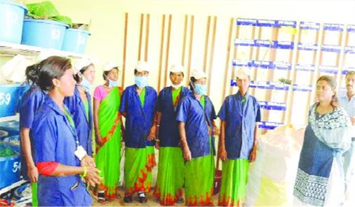 75 शहरों ने देखा अंबिकापुर का कचरा प्रबंधन