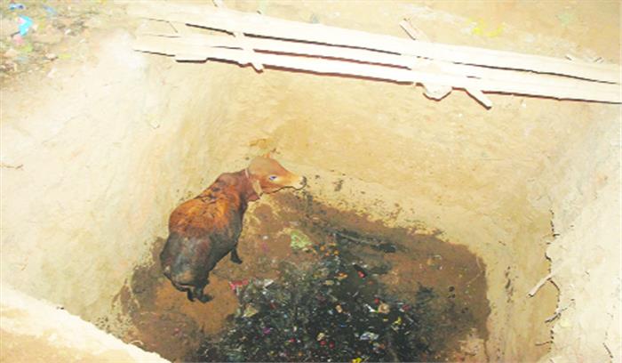 चेम्बर बनाने खोदा गया गड्ढा बना जानलेवा