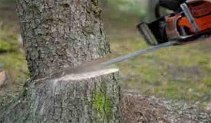 जंगल से मुरुम का अवैध उत्खनन धड़ल्ले से