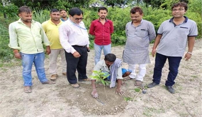 बिहार में नई तकनीक से ज्यादा फलेगी रसीली लीची