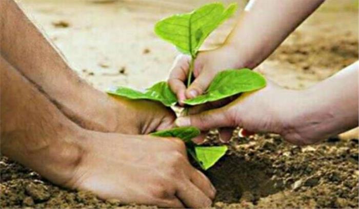 नगर पंचायत के सहयोग से पर्यावरण संरक्षण समिति ने किया पौधारोपण
