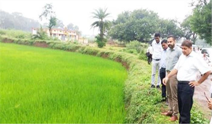 नजरी आनावारी रिपोर्ट एक सप्ताह के भीतर तैयार करने निर्देश