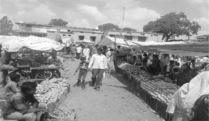 नपा की अनदेखी न पड़ जाए स्वास्थ्य पर भारी