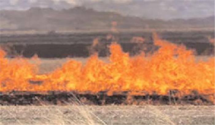 नरवाई जलाने वाले 10 किसानों के खिलाफ कार्रवाई