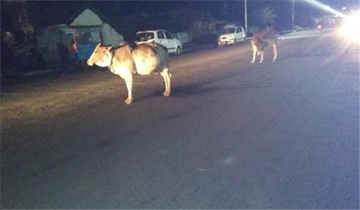 खरोरा : युवक की मौत के बाद भी नही जागा प्रशासन