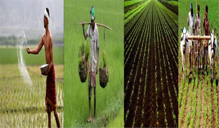 राष्ट्रीय कार्यशाला में कृषक यादव सम्मानित