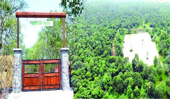 प्रकृति दर्शन के लिए मोहरेंगा में जंगल सफारी