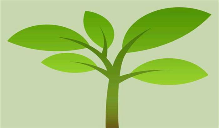 प्रकृति खोज प्रश्नोत्तरी के लिए योग्यता सीमा 8 अक्टूबर तक बढ़ी