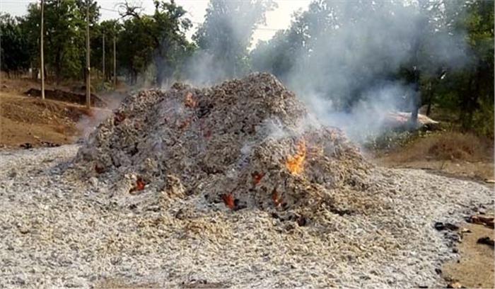 650 से अधिक तेंदूपत्ता बोरों में नक्सलियों ने आग लगा दी