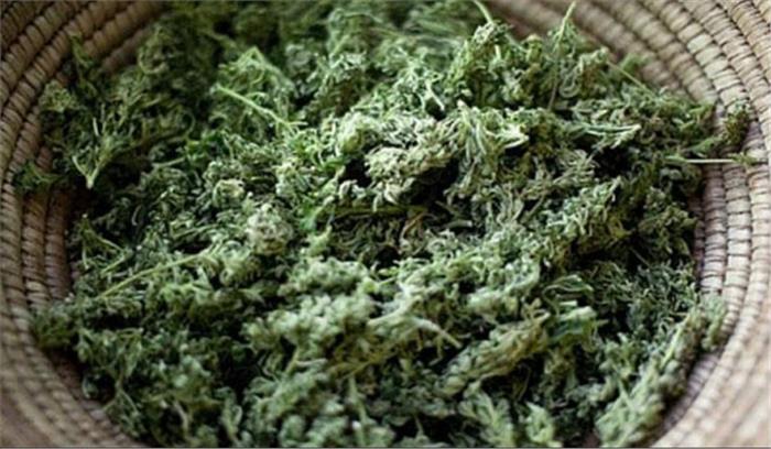 बिहार :दस किलोग्राम चरस के साथ तस्कर गिरफ्तार