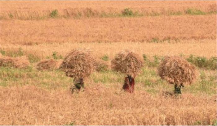 लॉकडाउन के दौरान पीएम-किसान के तहत जारी हुए 18134 करोड़ रुपये लॉकडाउन के दौरान पीएम-किसान के तहत जारी हुए 18134 करोड़ रुपये